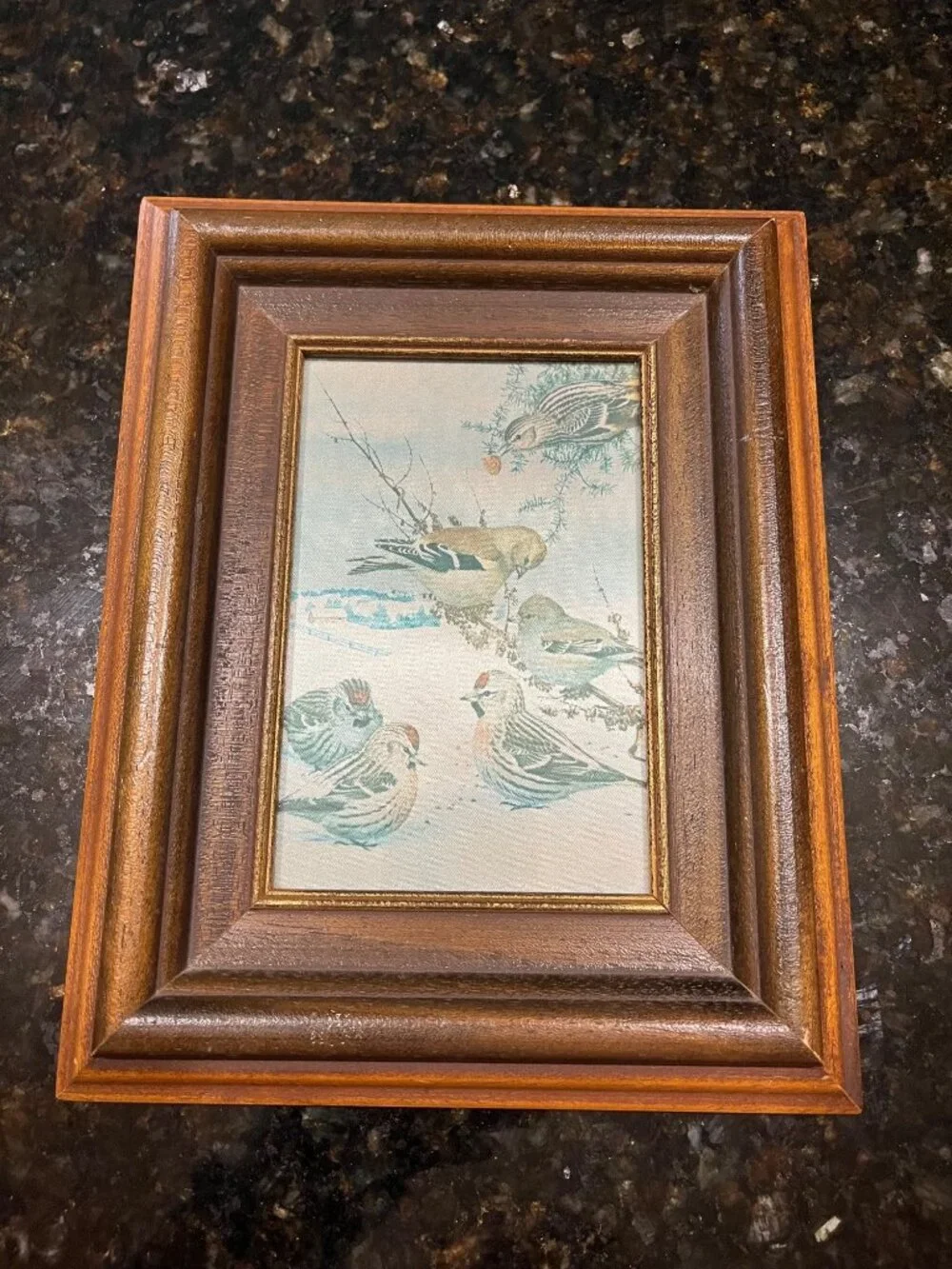 Wood Framed Iridescent Bird Winter Picture A971